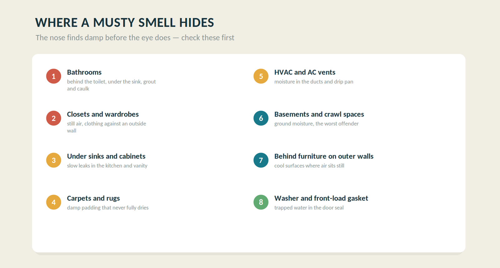 Eight common sources of a musty smell in a home: bathrooms, closets, under sinks, carpets, HVAC vents, crawl spaces, behind furniture, and the washer gasket