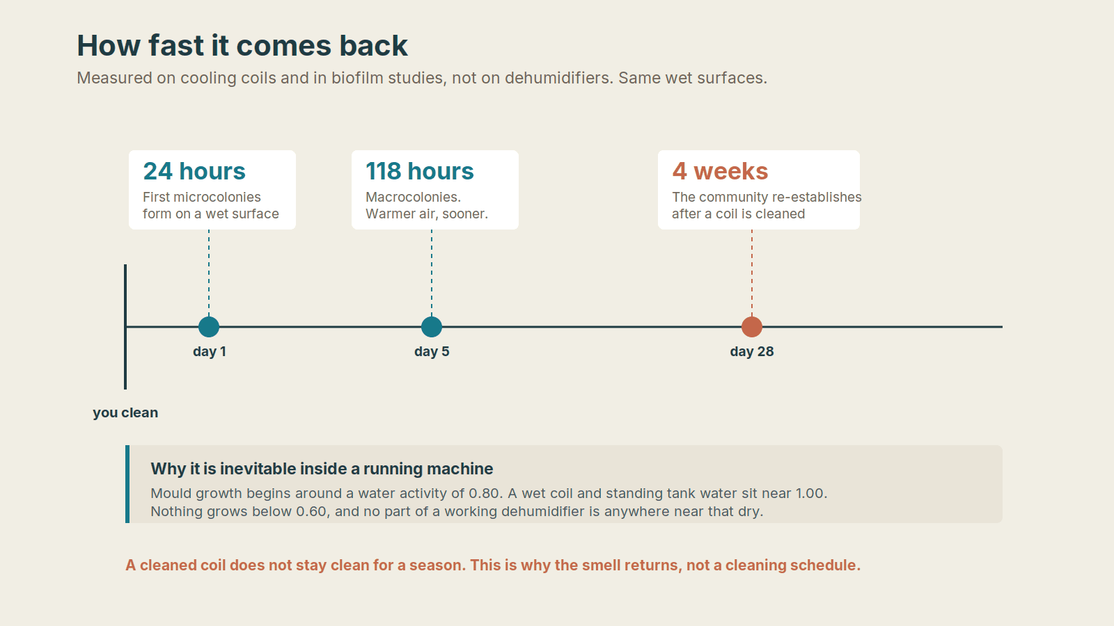 Timeline showing microcolonies at 24 hours, macrocolonies at 118 hours and full community recovery at four weeks after cleaning